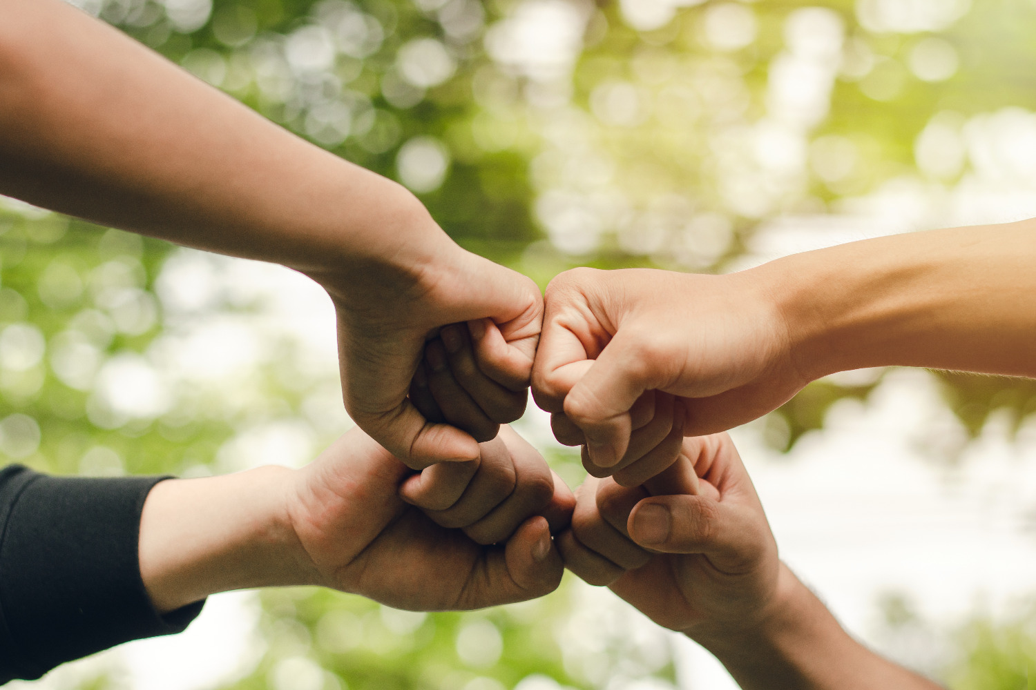 Join The Mangrove Community